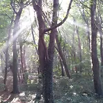 Kolonialny Olympic Park Διαμέρισμα Kołobrzeg