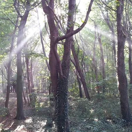 Kolonialny Olympic Park Apartament Kołobrzeg